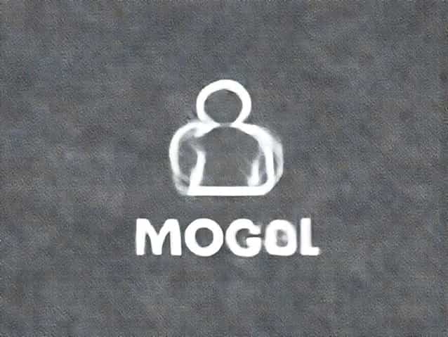 Another Word For Mogul