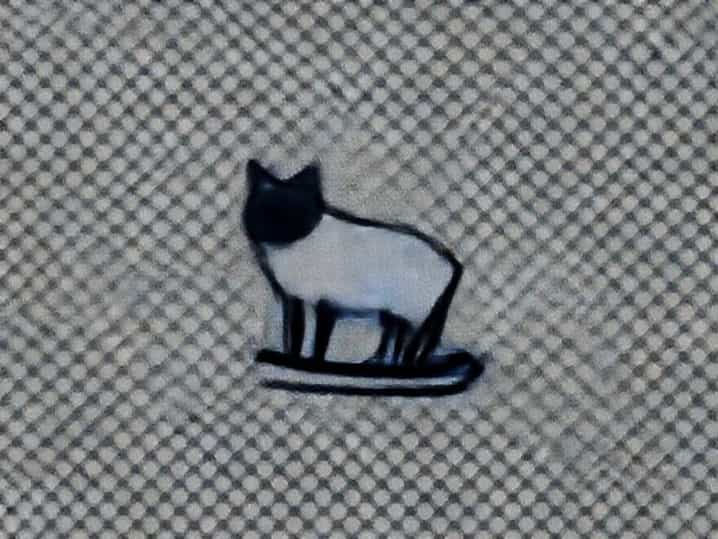 Blue Point Snowshoe Siamese
