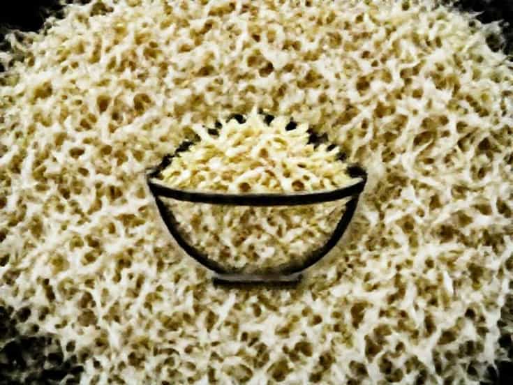 Coleslaw Is Made Of