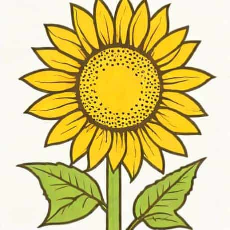 Comment Dessiner Un Tournesol