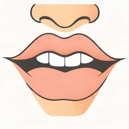 Corner Of Mouth Chapping