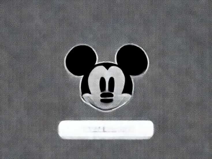 Disney Chase Visa Login