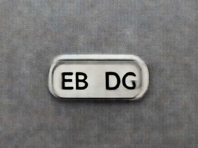 Eb Dg Changeover Switch