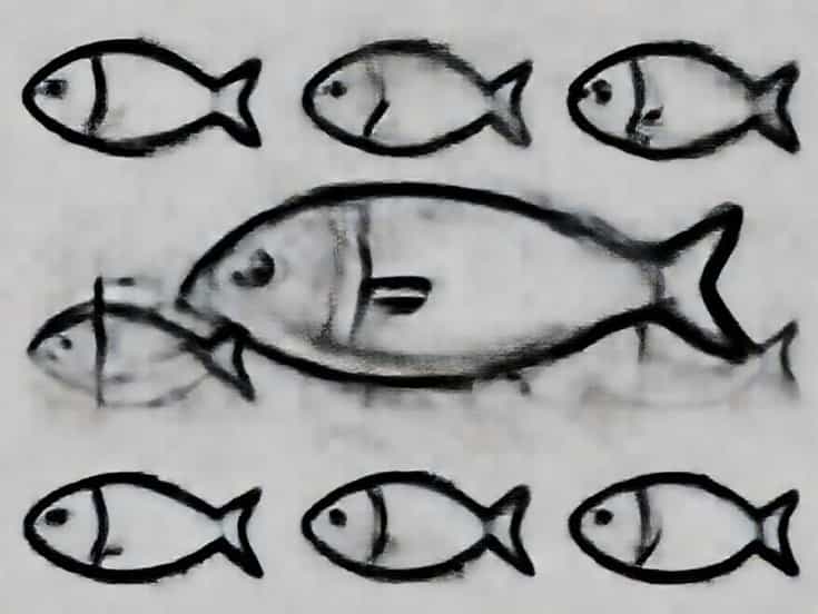 Felix Doubly Delicious Fish