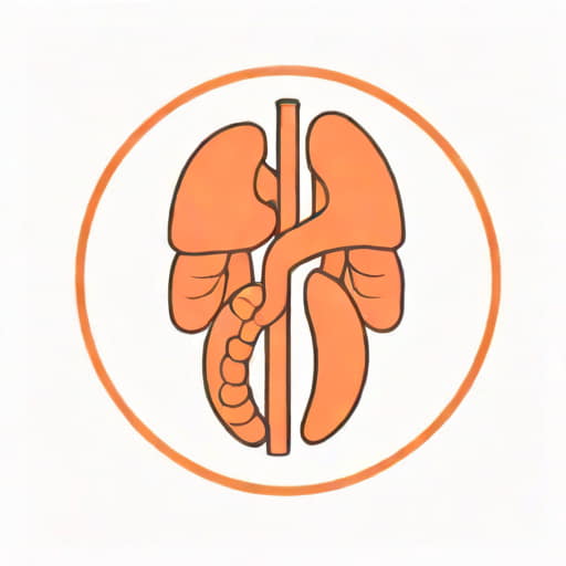 Gabapentin Does It Affect The Kidneys
