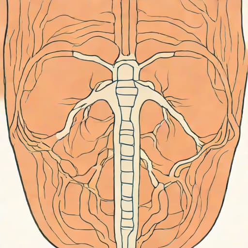 Glossopharyngeal Nerve Innervate