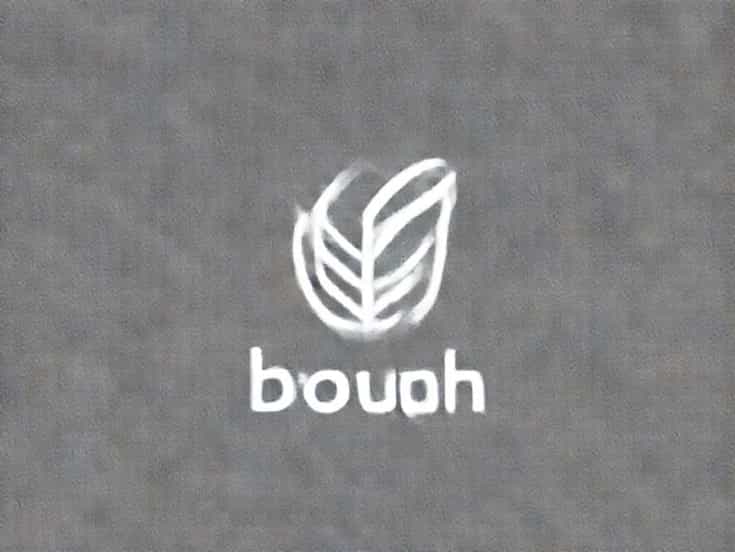 How To Pronounce Bough