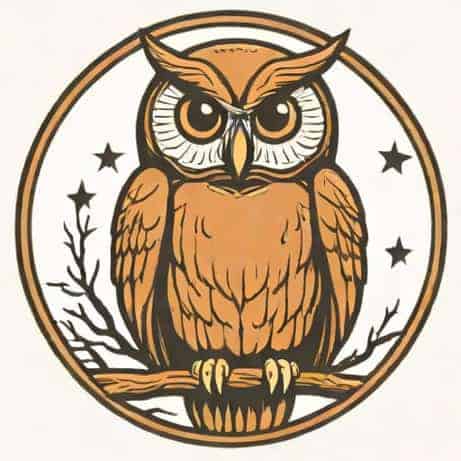 How To Tame Owl Bewitchment