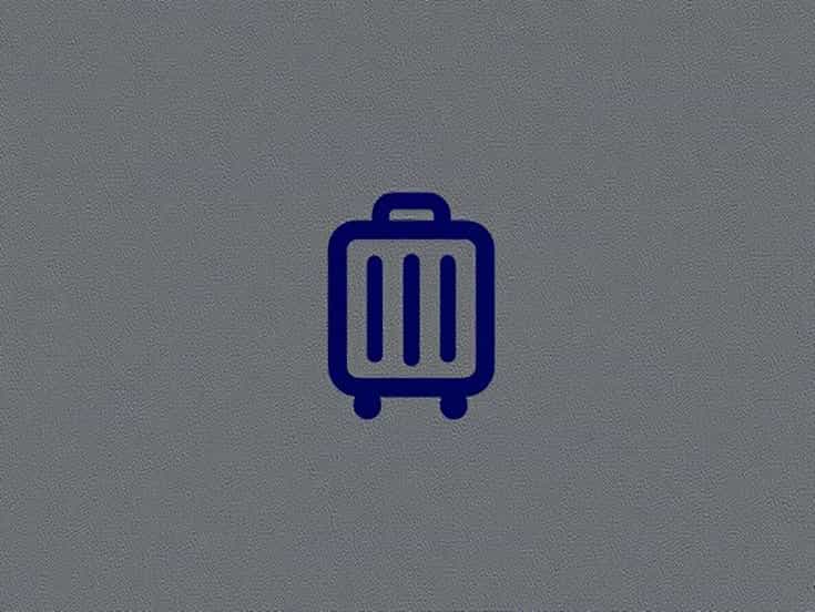 Indigo Extra Baggage Charges