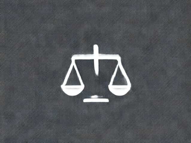 Judgement On Fungible Fsi