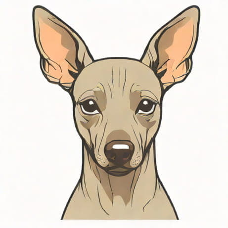 Name Of Mexican Hairless Dog