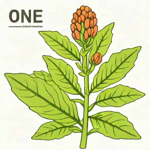Name One Alkaloid Of Cinchona Plant