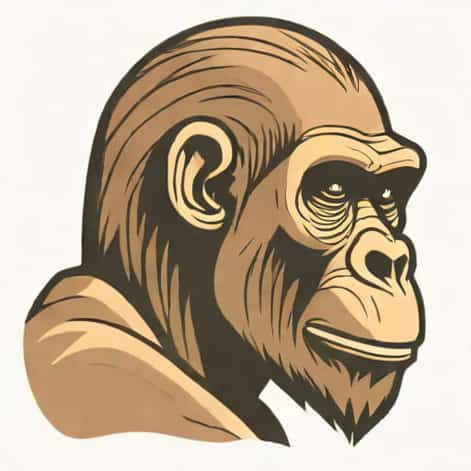 Robust Australopithecus Sagittal Crest