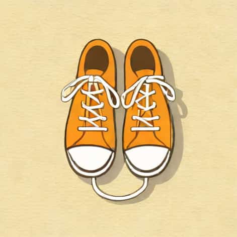 Small Shoelace Sheath Nyt