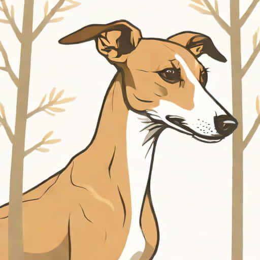 Smirch Birch Greyhound