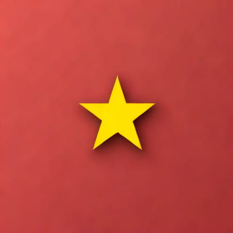 The Soviet Union Flag