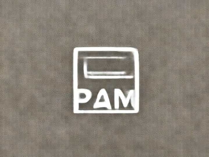 The Thing About Pam