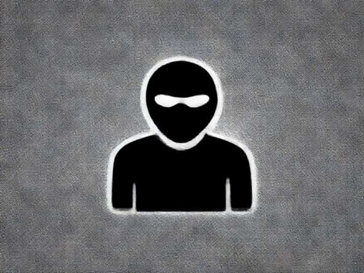 Thief Robber Burglar Mugger