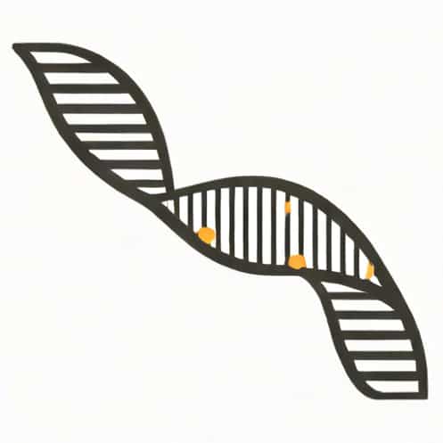 What Does Dna Stand For