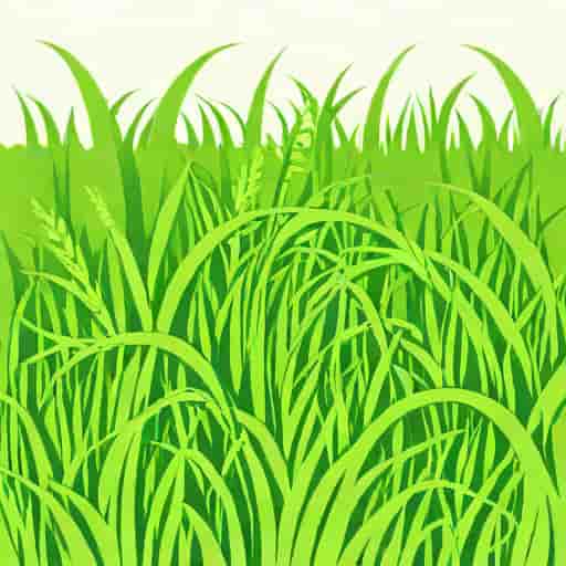 What Is A Grass Awn