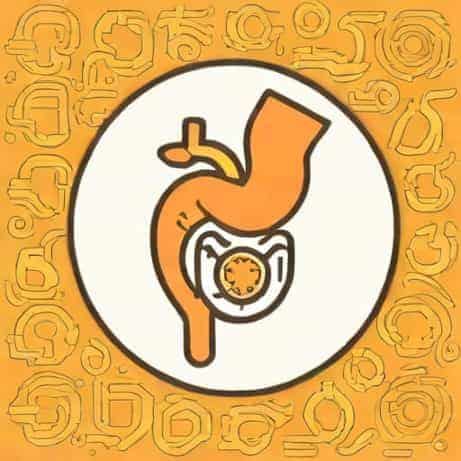 Begins Digestion Via Mastication