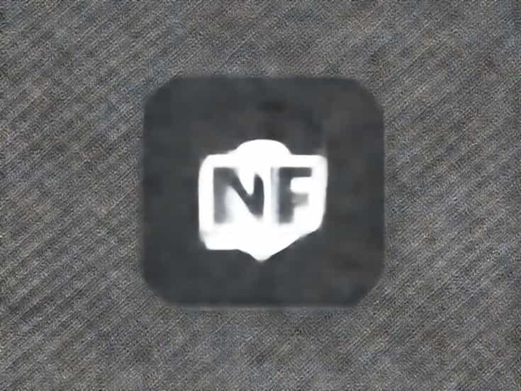 Biz Nf Free Domain