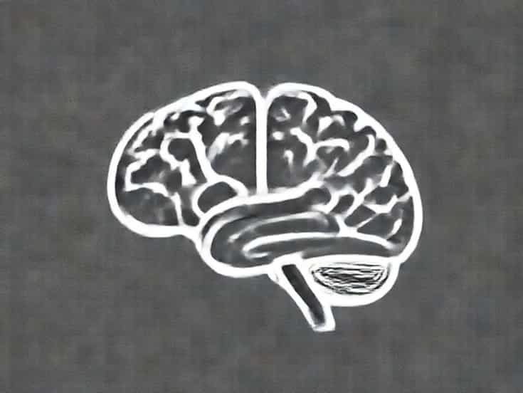 Brain Atrophy Icd 10