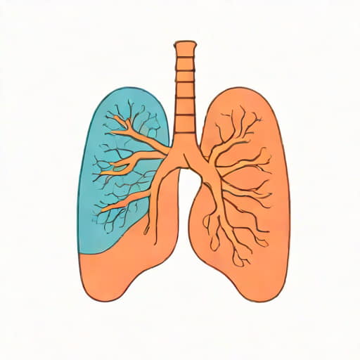 Bronchi And Bronchus Difference