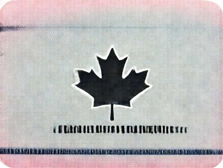 Canada Skilled Worker Visa