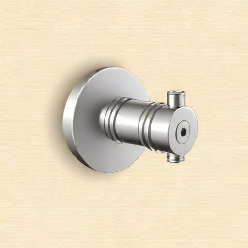 Ecocal Thermostatic Radiator Valve