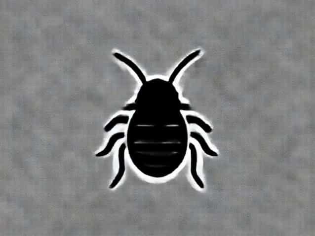 How Do Bed Bugs Look Like