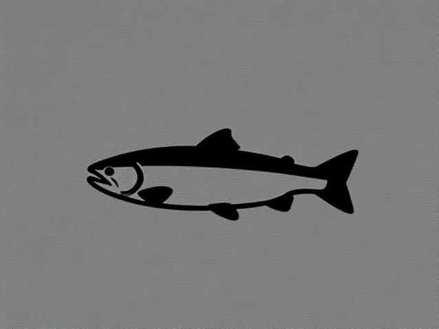 How Long Do Coho Salmon Live