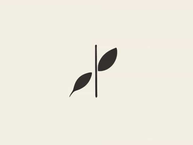 How To Write An Appositive