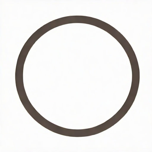 In The Foreground Of The Picture