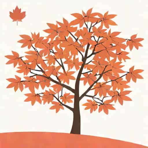 Japanese Maple In Japanese