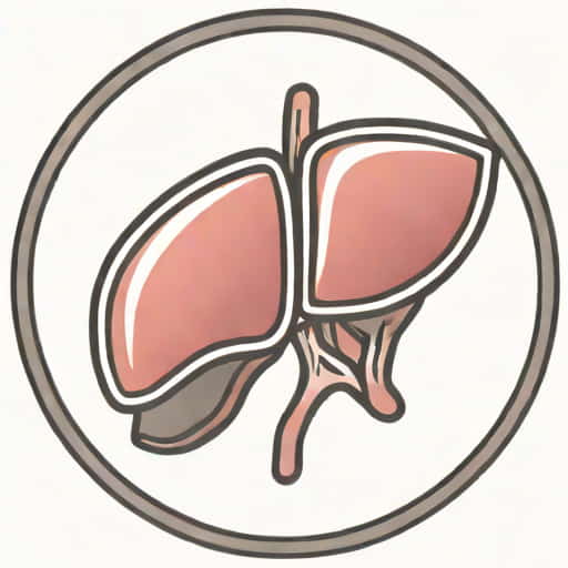 Liver With Gadolinium