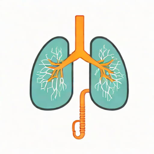 Lung Volume And Lung Capacity
