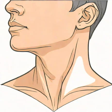 Neck Vein Distention Is A Sign Of
