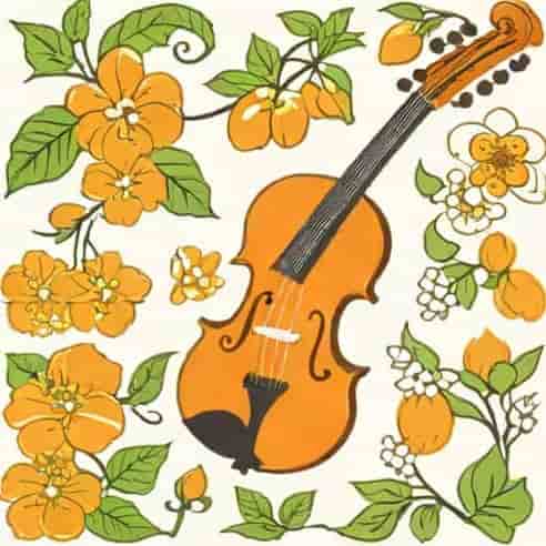 Orange Blossom Special Fiddle