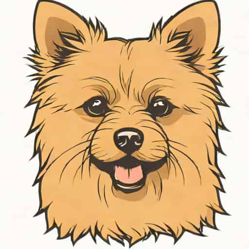 Pomeranian Cairn Terrier Mix