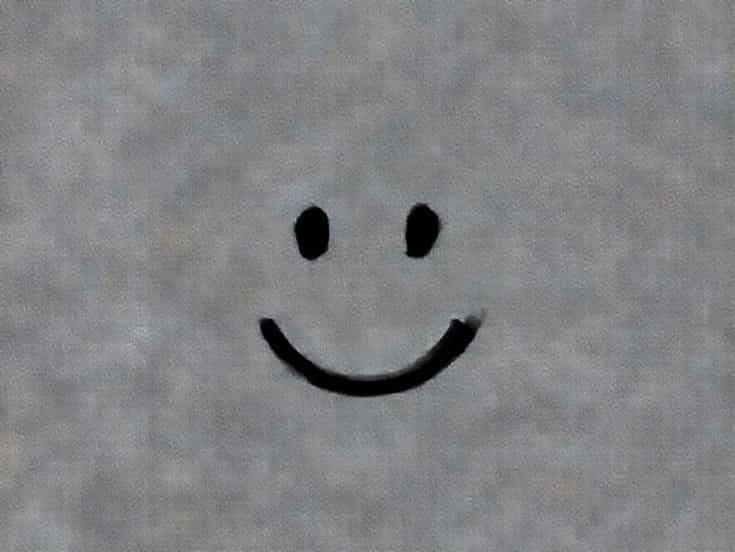 Que Veut Dire Gladness