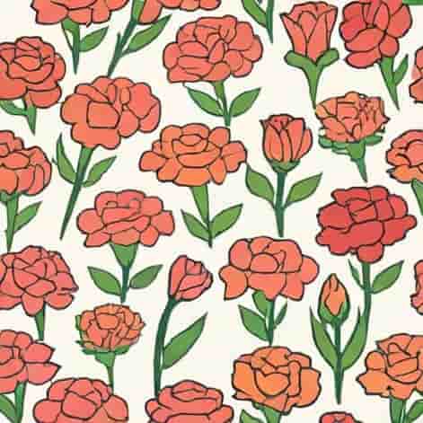 Quotes About Carnation Flowers