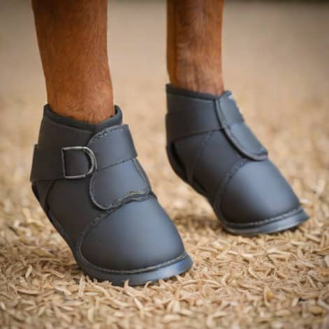 Shires Arma Fetlock Boots