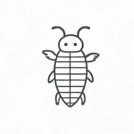 Silkworm Questions And Answers