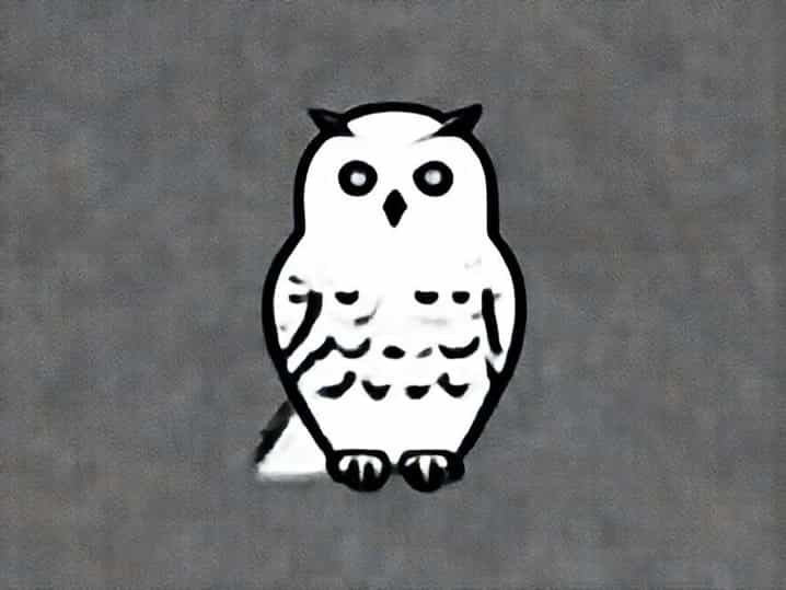 Snowy Owl Irruption 2024