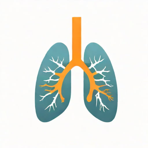 The Function Of The Lung Are To Oxygenate The Blood