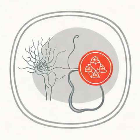 Ultrasound Renal Cortical Thinning