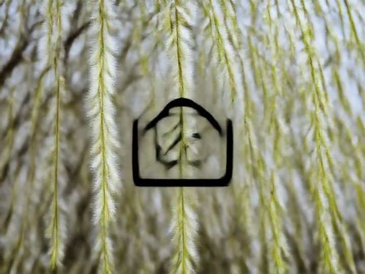 Under The Woolen Willow