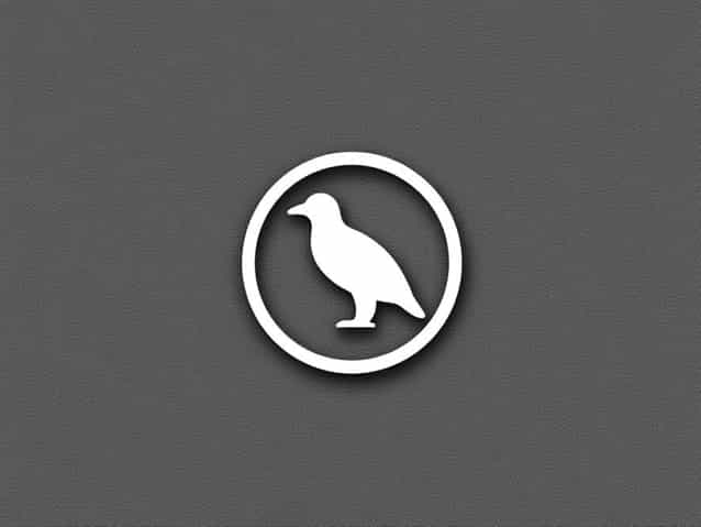 What Is Ibis World