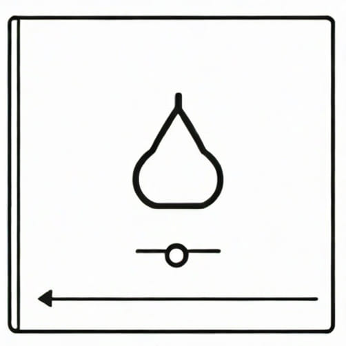 What Is Lebesgue Function